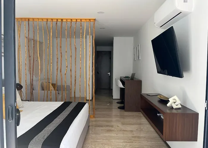 Menesse Midtown 2 206 Y 209 Playa del Carmen